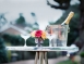 champagne table setting styling